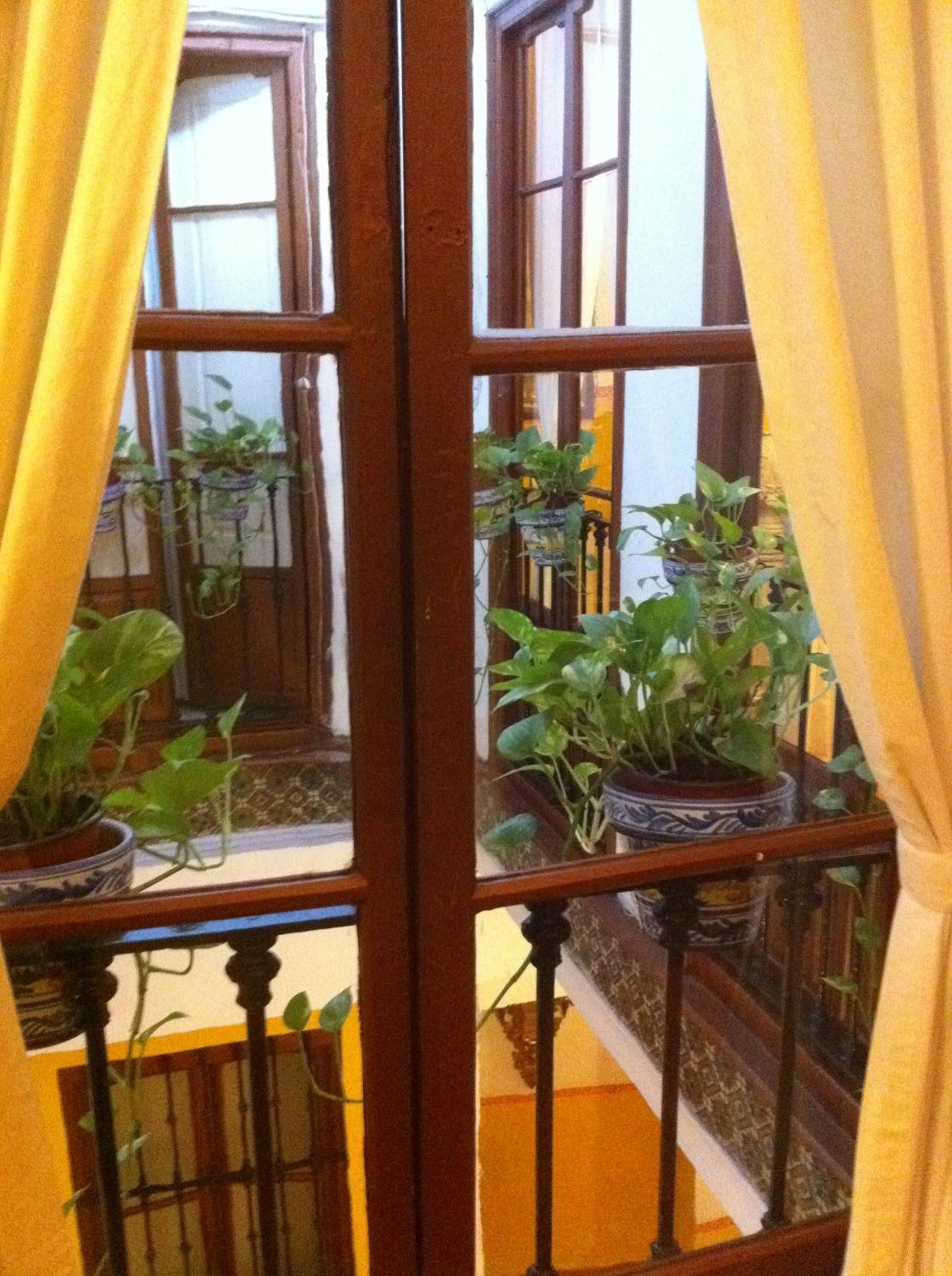 Bed & Breakfast Naranjo - Seville — Photos 3