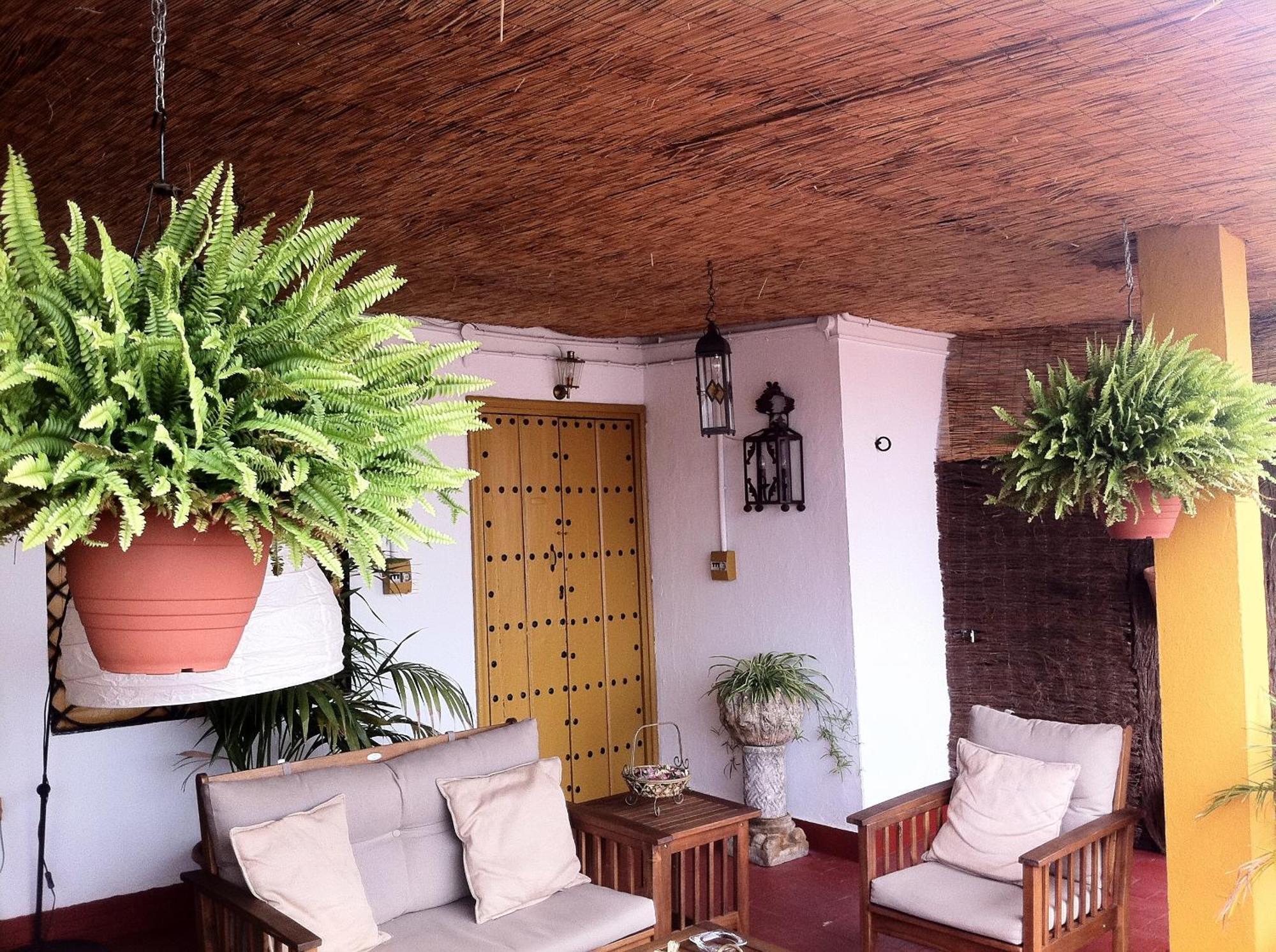 Bed & Breakfast Naranjo - Seville — Photos 2